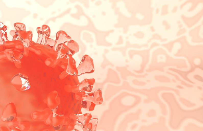 Фото: https://ru.freepik.com/free-photo/